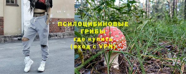 прущий лед Кодинск