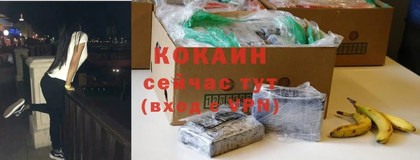 сатива Белоозёрский