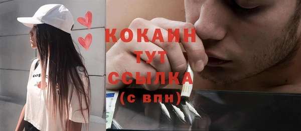 ГАЛЛЮЦИНОГЕННЫЕ ГРИБЫ Козельск