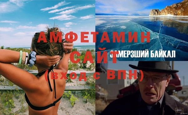 шишки Корсаков